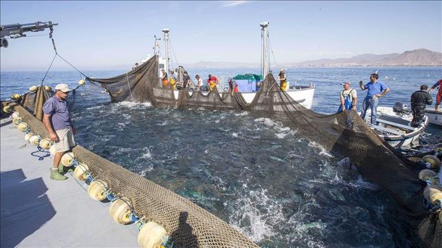 Canada Phê Chuẩn PSMA Trong Cuộc Chiến Chống IUU