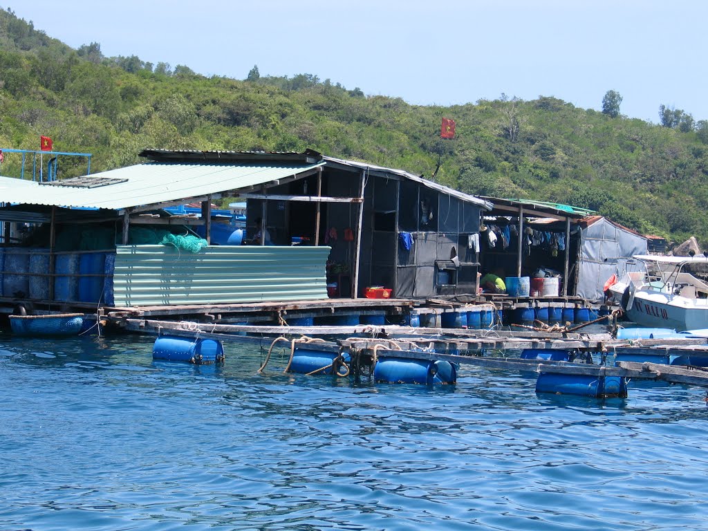 Biện Pháp Để Người Nuôi Thủy Sản Nước Ngọt Đối Phó Với Xâm Nhập Mặn || Kiến Thức Khác