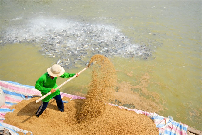 Quy Trình Sản Xuất Thức Ăn Thuỷ Sản