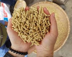 Nuôi tôm thẻ hiệu quả bằng thức ăn viên tổng hợp 