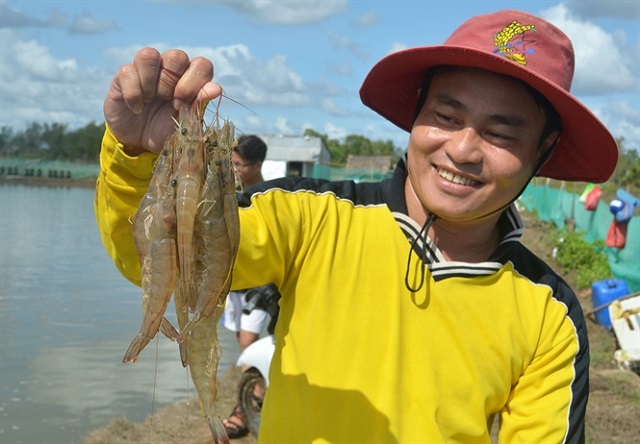 CHÌA KHÓA THÀNH CÔNG CHO TƯƠNG LAI NGÀNH NUÔI TÔM THƯƠNG PHẨM